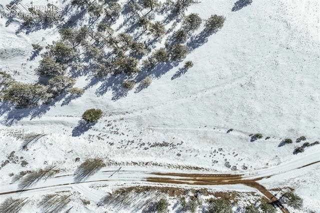244 High Pasture Road, Florissant, CO 80816