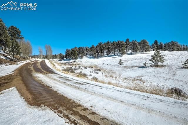 244 High Pasture Road, Florissant, CO 80816
