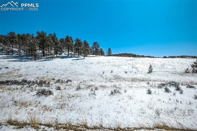 244 High Pasture Road, Florissant, CO 80816