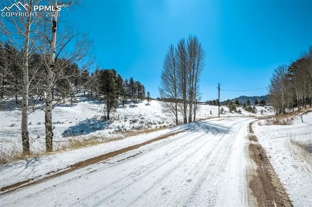 244 High Pasture Road, Florissant, CO 80816