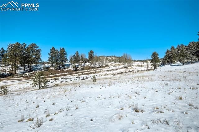 244 High Pasture Road, Florissant, CO 80816