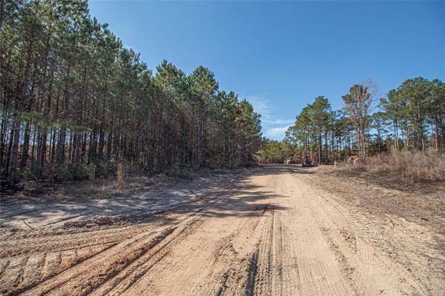 3103 Sandydale Lane, Livingston, TX 77351