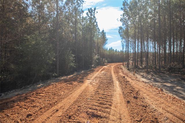 3103 Sandydale Lane, Livingston, TX 77351