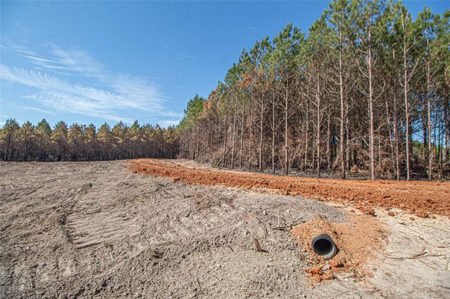 3103 Sandydale Lane, Livingston, TX 77351