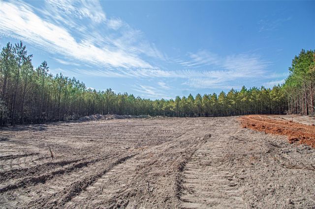 3103 Sandydale Lane, Livingston, TX 77351