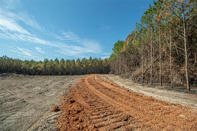 3103 Sandydale Lane, Livingston, TX 77351