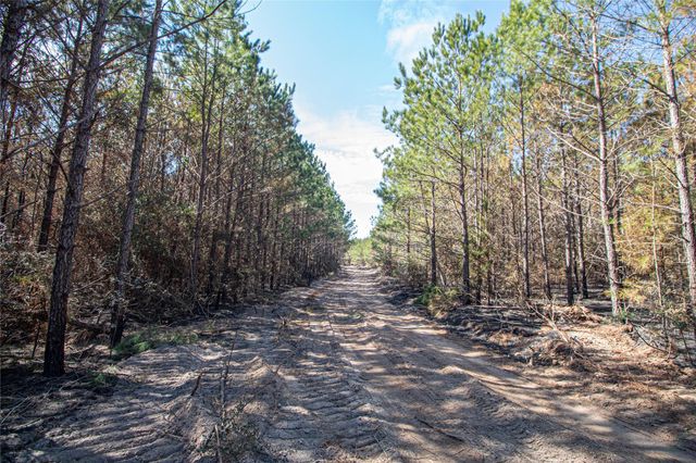 3103 Sandydale Lane, Livingston, TX 77351