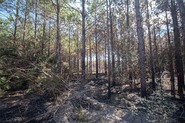 3103 Sandydale Lane, Livingston, TX 77351