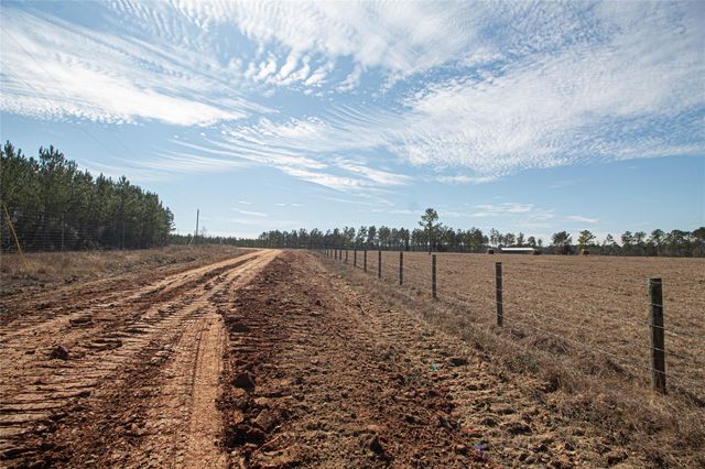 3103 Sandydale Lane, Livingston, TX 77351