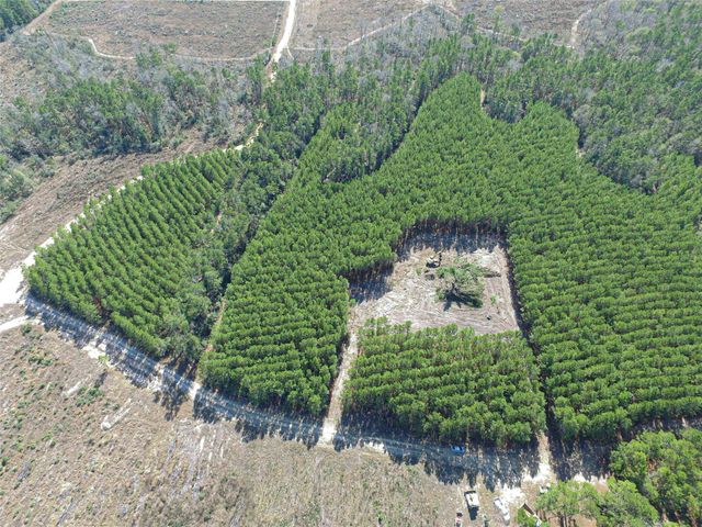 3103 Sandydale Lane, Livingston, TX 77351