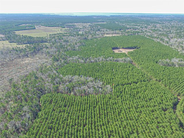 3103 Sandydale Lane, Livingston, TX 77351