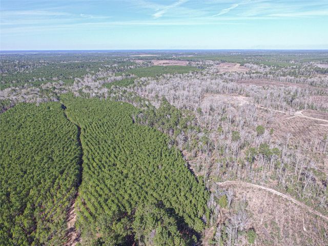 3103 Sandydale Lane, Livingston, TX 77351