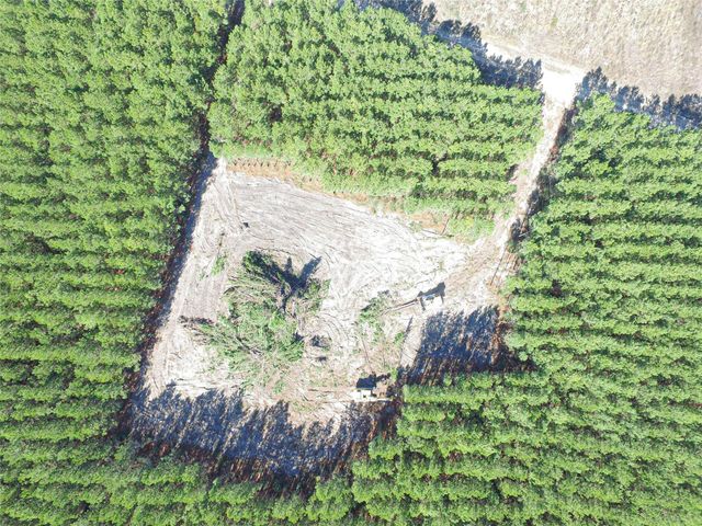 3103 Sandydale Lane, Livingston, TX 77351