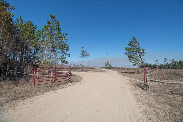 3103 Sandydale Lane, Livingston, TX 77351