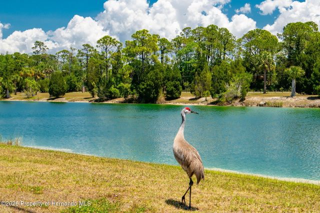 5041 Maplewood Drive, Hernando Beach, FL 34607