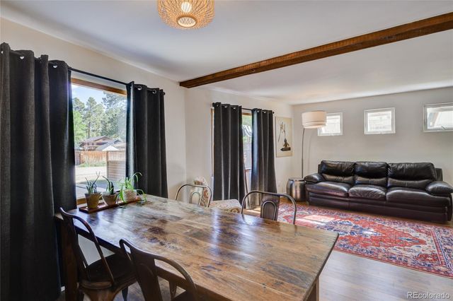 619 James Place, Buena Vista, CO 81211