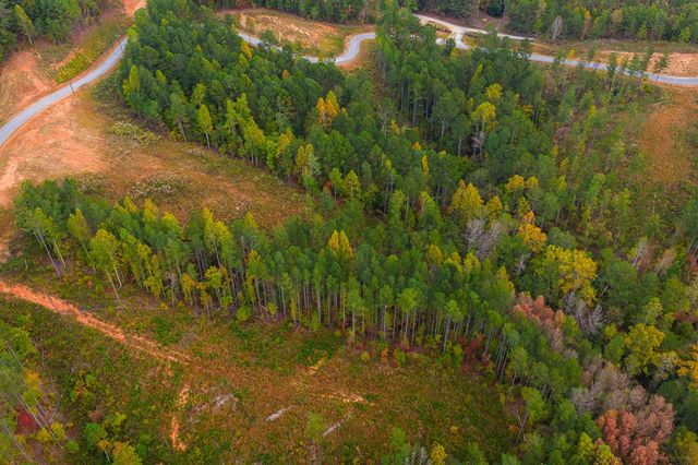 Lot 224 West Vista Ridge Parkway, Talking Rock, GA 30175
