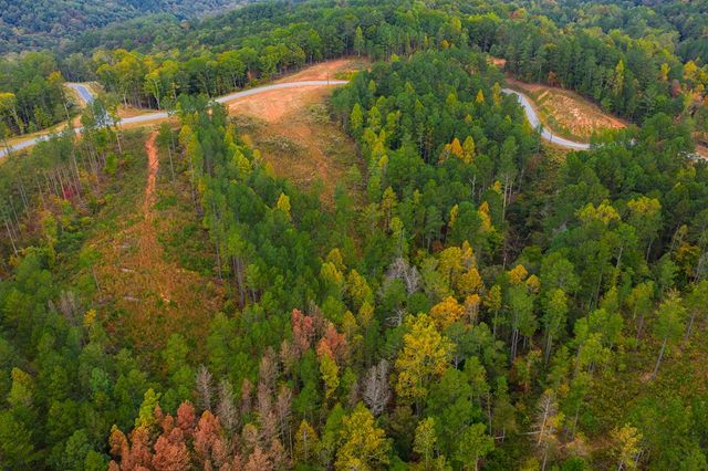 Lot 224 West Vista Ridge Parkway, Talking Rock, GA 30175