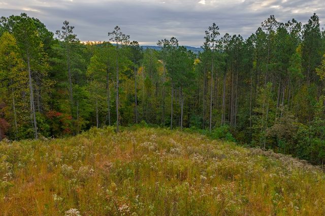Lot 224 West Vista Ridge Parkway, Talking Rock, GA 30175