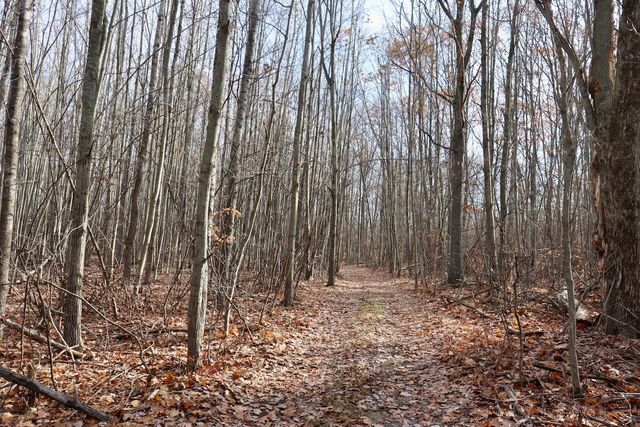 6495 Jackson Avenue, Surrey Twp, MI 48632