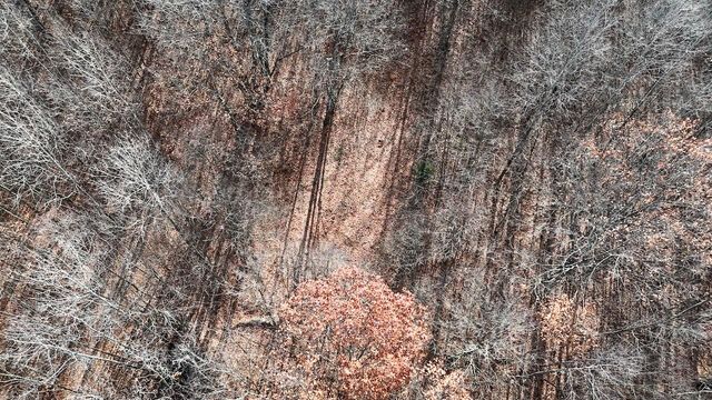 6495 Jackson Avenue, Surrey Twp, MI 48632