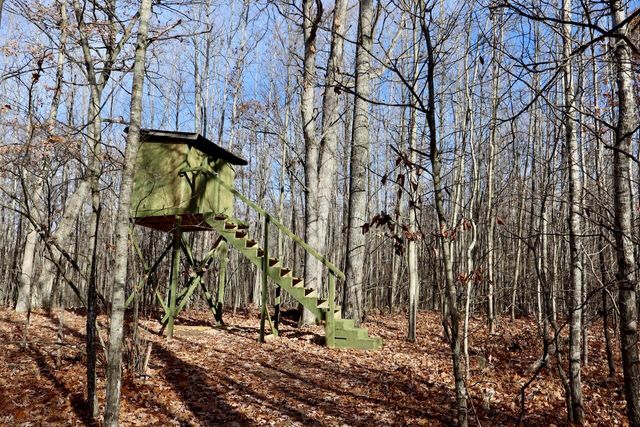 6495 Jackson Avenue, Surrey Twp, MI 48632