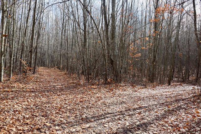 6495 Jackson Avenue, Surrey Twp, MI 48632