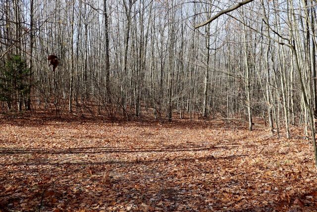 6495 Jackson Avenue, Surrey Twp, MI 48632