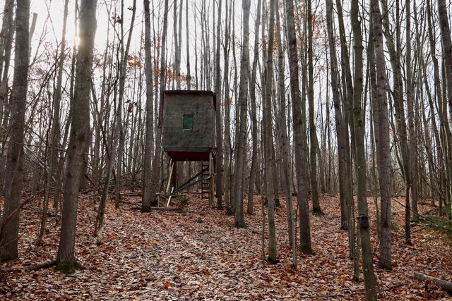 6495 Jackson Avenue, Surrey Twp, MI 48632