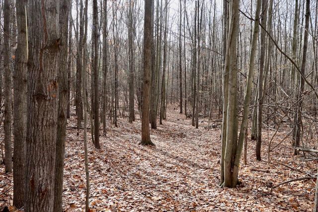 6495 Jackson Avenue, Surrey Twp, MI 48632