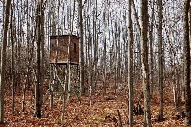 6495 Jackson Avenue, Surrey Twp, MI 48632