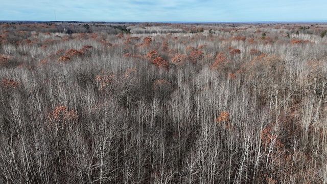 6495 Jackson Avenue, Surrey Twp, MI 48632