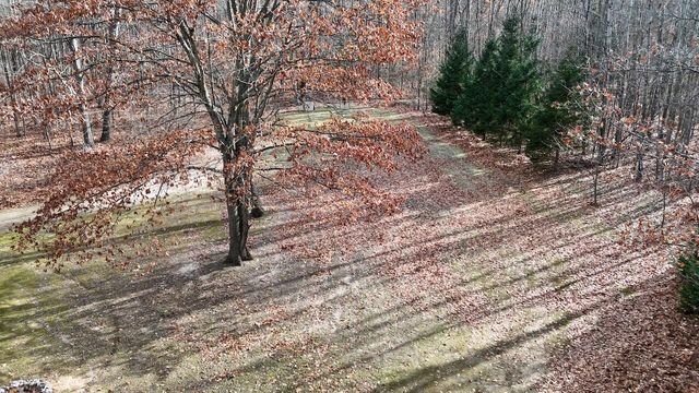 6495 Jackson Avenue, Surrey Twp, MI 48632