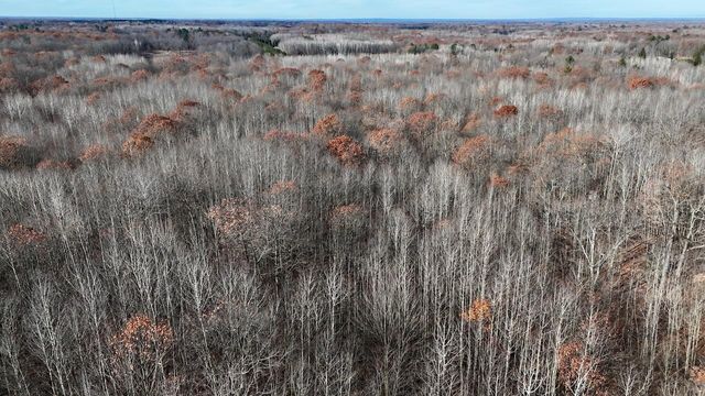 6495 Jackson Avenue, Surrey Twp, MI 48632