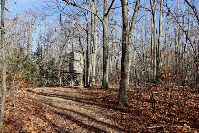 6495 Jackson Avenue, Surrey Twp, MI 48632