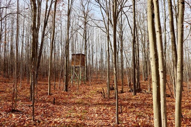 6495 Jackson Avenue, Surrey Twp, MI 48632