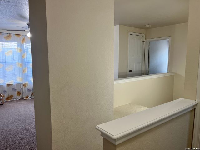8019 Thicket Pass, San Antonio, TX 78254