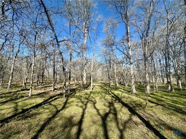 TBD Cr 412, Gonzales, TX 78629