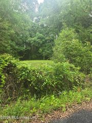 Elder Ferry Road, Moss Point, MS 39563