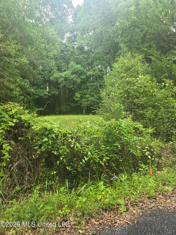 Elder Ferry Road, Moss Point, MS 39563