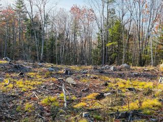 Lot 70 Homestead Lane, Barrington, NH 03825