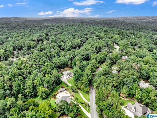 1147 RIVERCHASE PARKWAY W, Hoover, AL 35244