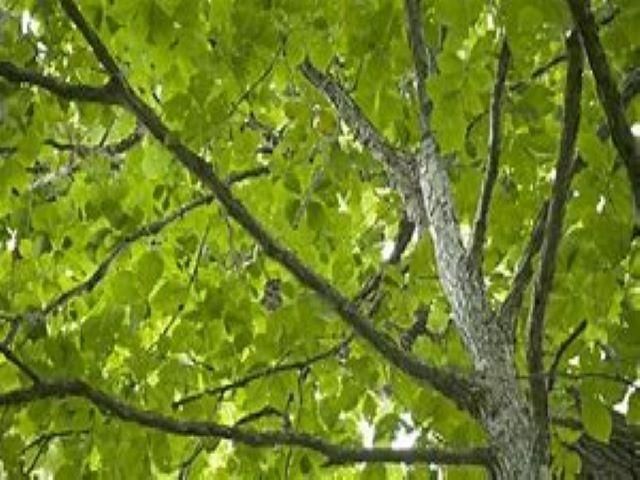 200 Heritage Park Place 200 Lot: 200, Traverse City, MI 49685