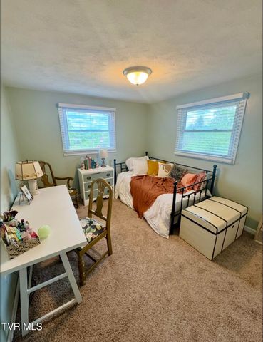 138 Richard Street, Gray, TN 37615