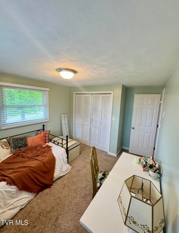 138 Richard Street, Gray, TN 37615