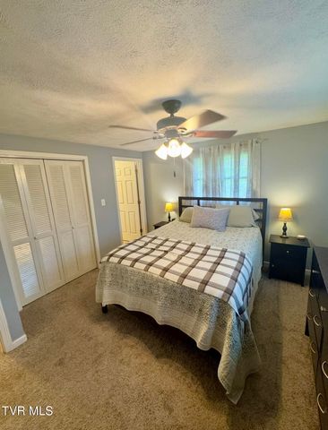 138 Richard Street, Gray, TN 37615