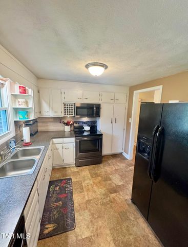 138 Richard Street, Gray, TN 37615