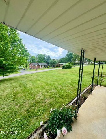 138 Richard Street, Gray, TN 37615