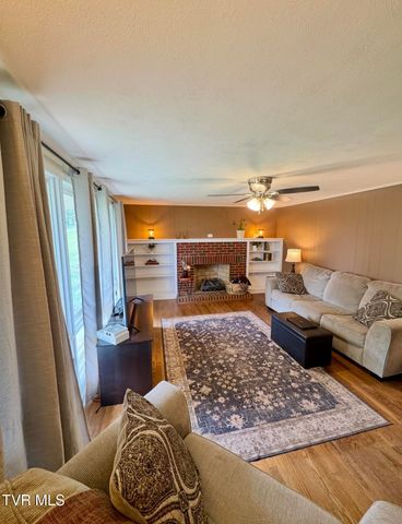 138 Richard Street, Gray, TN 37615