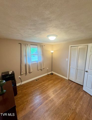 138 Richard Street, Gray, TN 37615